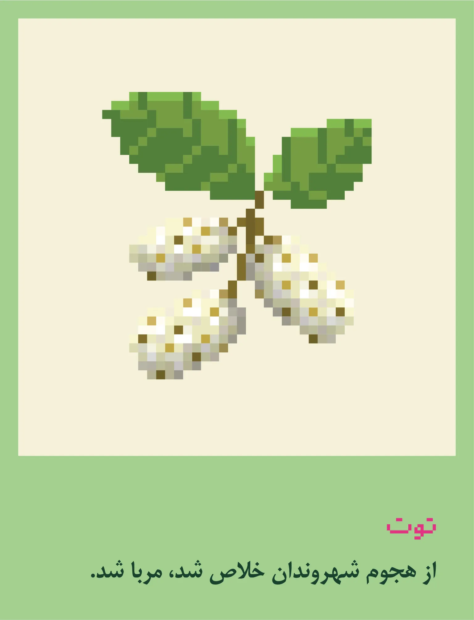 مربای توت سفید