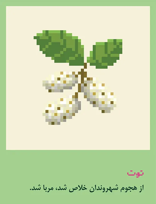 مربای توت سفید